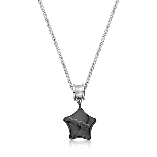 "Share Of Love" Ip Black Lucky Star with Roll Steel Necklace